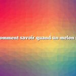 Question : Comment savoir quand un melon miel est mûr